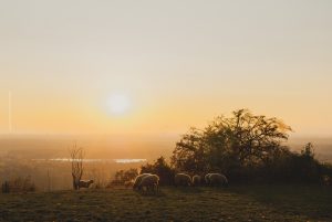 Dämmerung am Michaelsberg, Untergrombach-Bruchsal. Deutschland, Europa. Landschaftsfotografie
