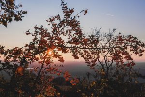 Dämmerung am Michaelsberg, Untergrombach-Bruchsal. Deutschland, Europa. Landschaftsfotografie