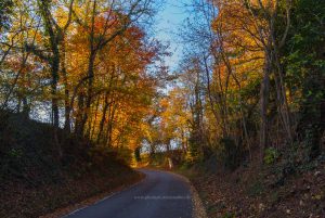 Dämmerung am Michaelsberg, Untergrombach-Bruchsal. Deutschland, Europa. Landschaftsfotografie