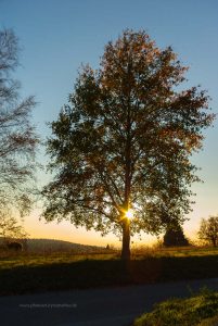Dämmerung am Michaelsberg, Untergrombach-Bruchsal. Deutschland, Europa. Landschaftsfotografie