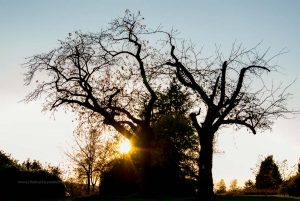 Dämmerung am Michaelsberg, Untergrombach-Bruchsal. Deutschland, Europa. Landschaftsfotografie