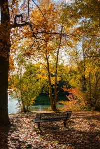 untergrombach-baggersee-herbst-2020-web-5001