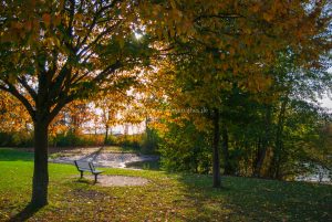 untergrombach-baggersee-herbst-2020-web-5017