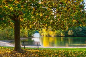 untergrombach-baggersee-herbst-2020-web-5019