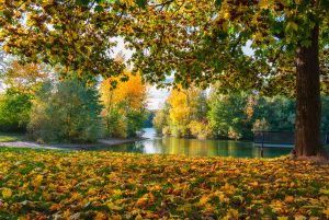 untergrombach-baggersee-herbst-2020-web-5020