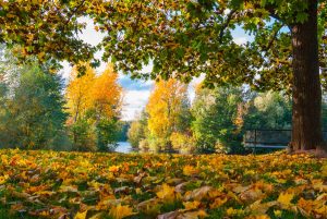 Baggersee Untergrombach-Bruchsal an einem Herbsttag. Deutschland, Europa Landschaft Fotografie
