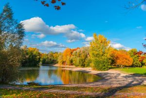 Baggersee Untergrombach-Bruchsal an einem Herbsttag. Deutschland, Europa Landschaft Fotografie