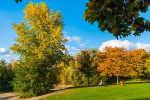 Baggersee Untergrombach-Bruchsal an einem Herbsttag. Deutschland, Europa Landschaft Fotografie