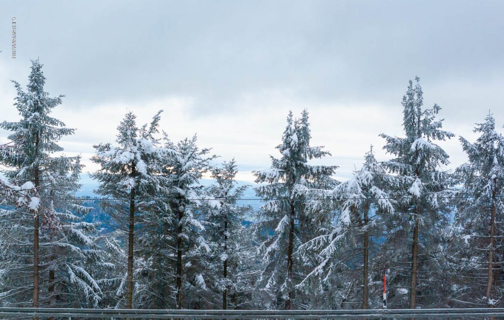 Winter Landschaft