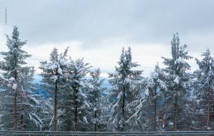Winterlandschaft. Mummelsee 2020. Natur Fotografie