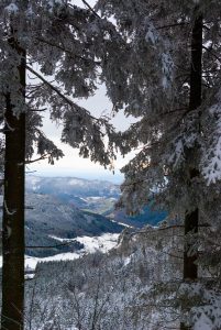 Winterlandschaft. Mummelsee 2020. Natur Fotografie