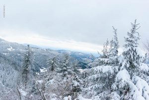 Winterlandschaft. Mummelsee 2020. Natur Fotografie