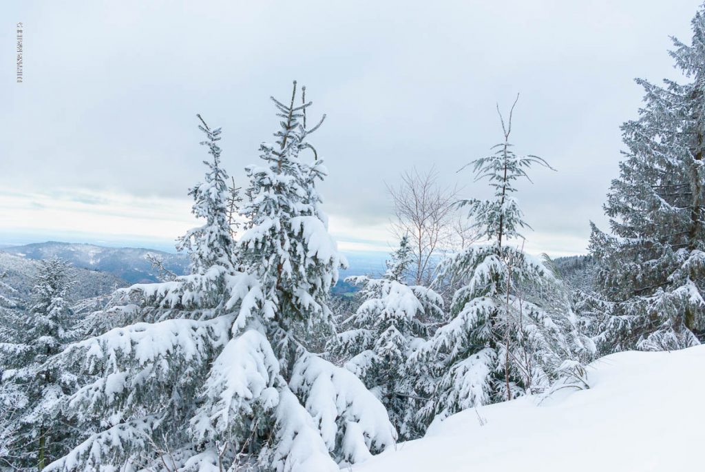 Winter Landschaft, Mummelsee