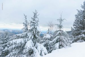 Winterlandschaft. Mummelsee 2020. Natur Fotografie