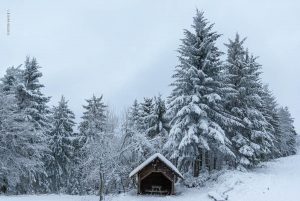 Winterlandschaft. Mummelsee 2020. Natur Fotografie