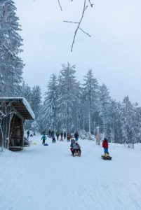 Winterlandschaft. Mummelsee 2020. Natur Fotografie