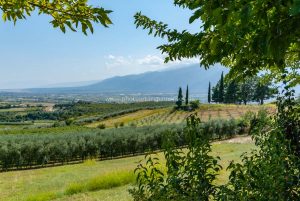 Litochoro, Griechenland. Reise Fotografie