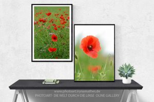 Fotografien für modernes Wohnen. Fotos in Rahmen.