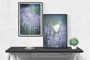 Fotografien für modernes Wohnen. Fotos in Rahmen.