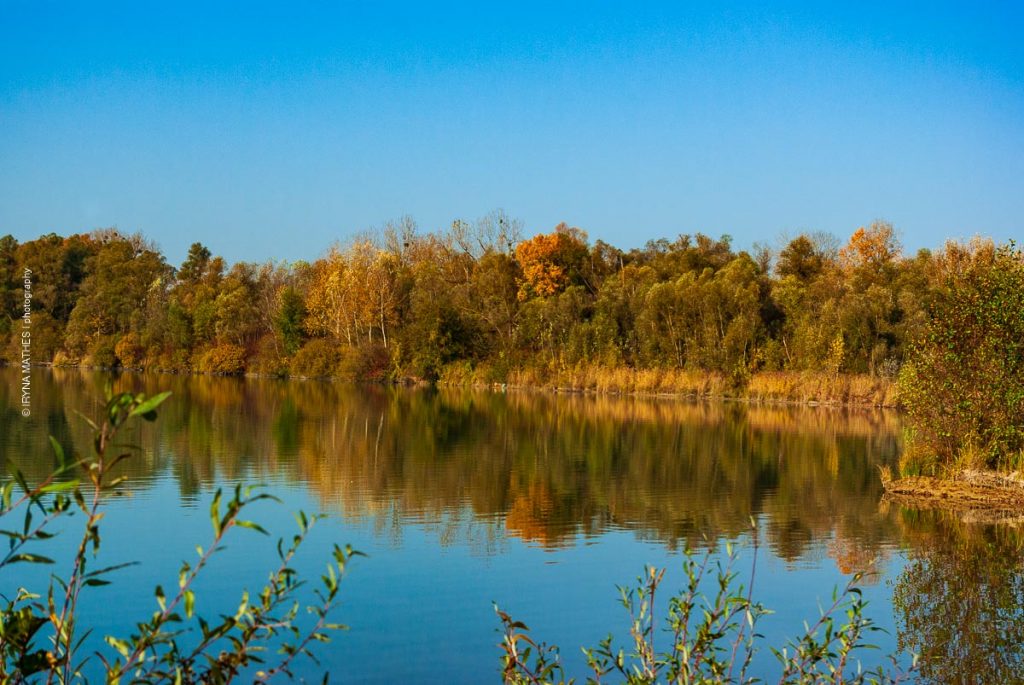 Herbst
