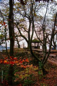 Herbst in Deutschland. Landschaft Fotografie