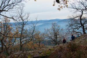 Herbst in Deutschland. Landschaft Fotografie