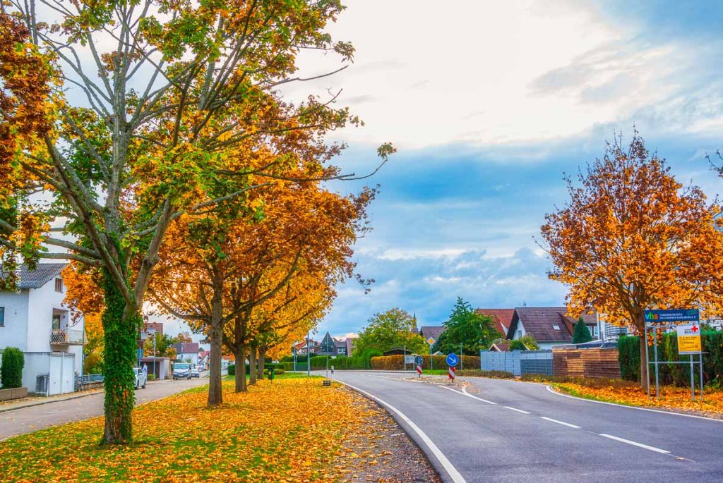 liedolsheim-herbst-2020-web-5189