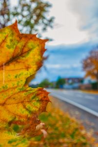 Herbst im Dorf. Deutschland. Natur, Jahreszeiten und Landschaft Fotografie