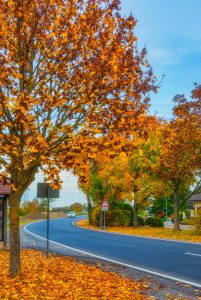 Herbst im Dorf. Deutschland. Natur, Jahreszeiten und Landschaft Fotografie
