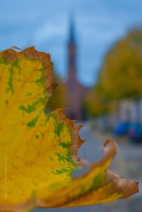 Herbst im Dorf. Deutschland. Natur, Jahreszeiten und Landschaft Fotografie