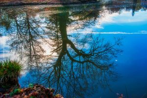 Schloss Favorite, Rastatt, Deutschland. Herbst 2020. Fotografie Iryna Mathes