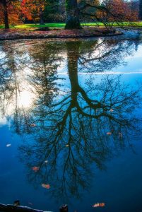 Spiegelung. Landschaft Fotografie