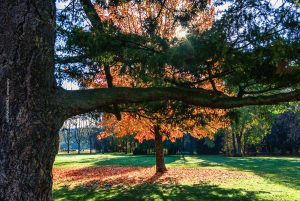 Schloss Favorite, Rastatt, Deutschland. Herbst 2020. Fotografie Iryna Mathes
