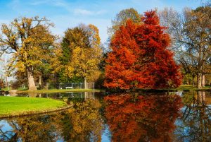 Schloss Favorite, Rastatt, Deutschland. Herbst 2020. Fotografie Iryna Mathes