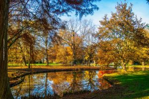 Schloss Favorite, Rastatt, Deutschland. Herbst 2020. Fotografie Iryna Mathes