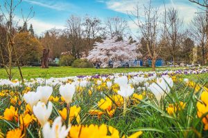 Baden-Baden im Frühling
