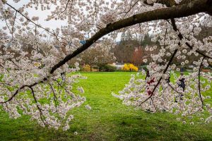 Baden-Baden im Frühling