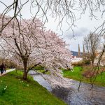 Baden-Baden im Frühling