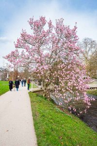 Baden-Baden im Frühling