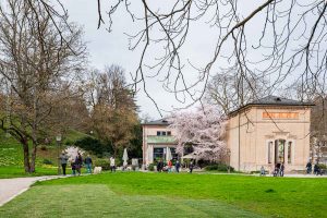 Magnolien. Baden-Baden im Frühling