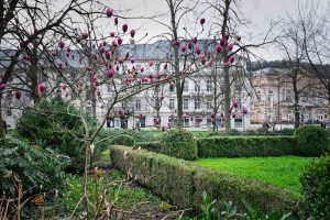 Magnolien. Baden-Baden im Frühling