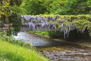 Baden-Baden im Frühling
