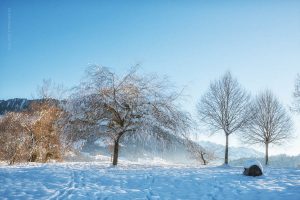 Schweiz im Winter