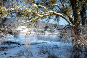 Winterlandschaft, Schweiz
