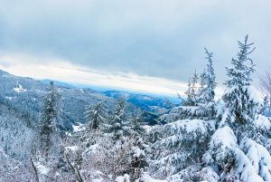 Winter Landschaft