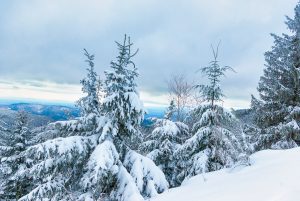 Winter Landschaft