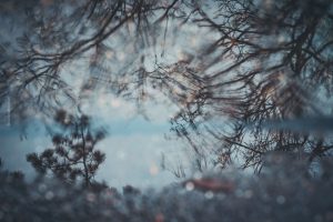 Die Kunst des Regens