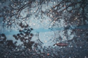 Die Kunst des Regens