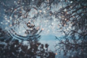 Die Kunst des Regens