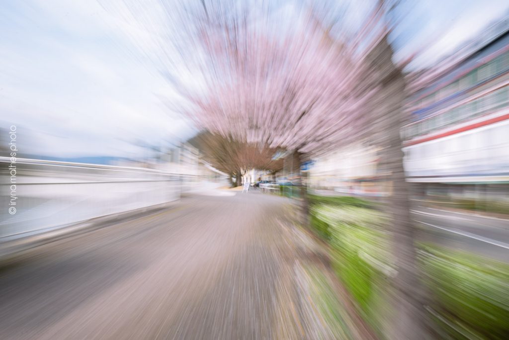 Bluten Wirbel/ Kreativer Chaos mit Kirschbäumen im Bad-Ems